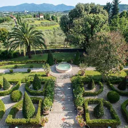 Collini * Lucca